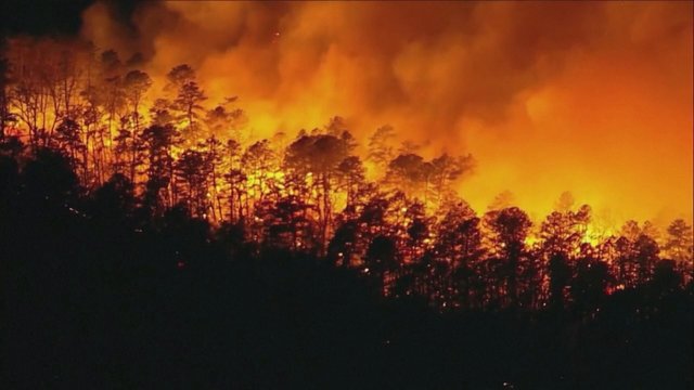 Naujajame Džersyje kilęs miškų gaisras išdegino šimtus hektarų 