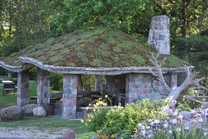 Medinio dangoraižio Lietuvoje dar teks palaukti: stinga ne tik ambicijų