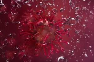 Užsikrėtimas H3N8 paukščių gripo sukėlėju baigėsi žmogaus mirtimi: toks atvejis – pirmas pasaulyje