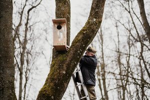 Šalia Vilnios iškelti inkilai čia gyvenančioms klykuolėms