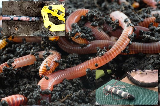 Kada nors nutiks ir taip, kad po mūsų kojomis pradės raustis sliekai-robotai