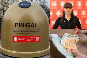 Atskleidė, ką reiškia Vilniuje išdygęs auksinis pinigų konteineris