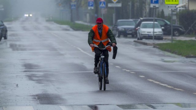 Numatomas niūrus savaitgalis: gali palyti, pūs stiprus rytų vėjas