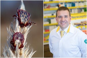 Paneigė 5 mitus apie erkinį encefalitą: saugus nebūsi, jei erkę greitai pašalinsi