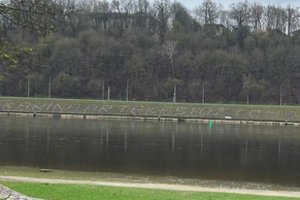 Tokios kauniečio piršlybos papiktino praeivę – būsimam jaunikiui turi tik vieną klausimą