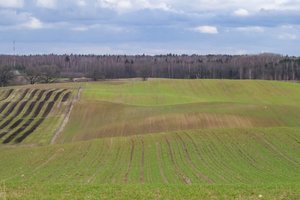 Valstybinės žemės deklaravimas – kokia tvarka
