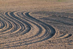 Prasideda pasėlių deklaravimas, pagrindinė naujovė – ekoschemos