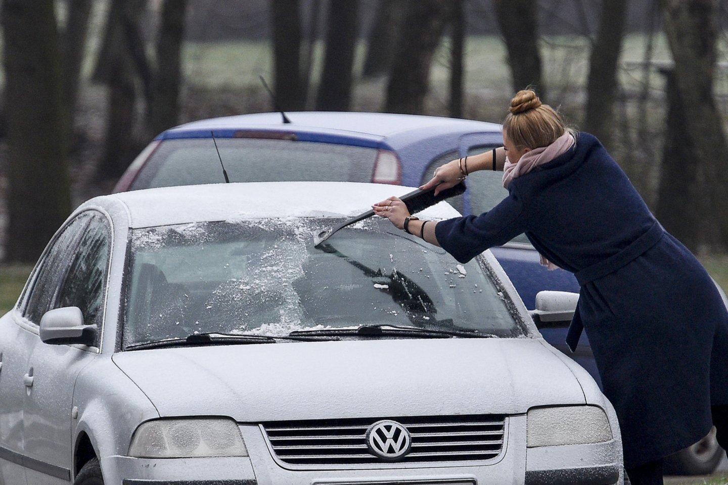 Artimiausiomis dienomis į mūsų šalį plūs nešalto oro masės, todėl orai bus pavasariškai šilti, taip pat dažniau džiugins saulės spinduliai.