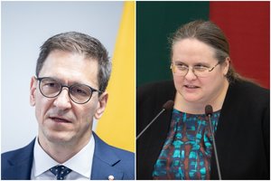 A. Širinskienė kreipėsi į VTEK dėl D. Kreivio: prašo įvertinti, ar nesupainiojo viešų ir privačių interesų