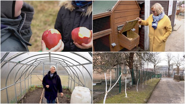 Darželiuose – vaikų sodintos obelys ir auginami kiaušiniai: atsakė, kaip tai padeda ugdymui