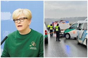 I. Šimonytė prakalbo apie tragiškas avarijas Lietuvoje: įvardijo, ką laiko didžiausia problema