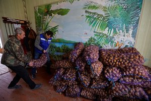 Maistą Ukrainos kariuomenei perka žymiai brangiau nei parduotuvėse: už vieną kiaušinį mokėjo kaip už kilogramą