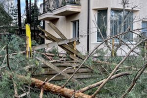 Primena pasirūpinti senų ir netvarkingų medžių genėjimu: užvirtę jie pridaro milžiniškų nuostolių turtui