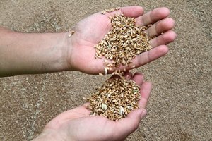 Vengrija iš Ukrainos draus importuoti dar daugiau produktų