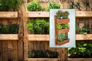 Jonas vertikalų daržą savo kieme turi jau dešimtmetį: pasidalijo patarimais, kas svarbiausia įsirengiant tokį