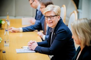 I. Šimonytė: priekaištai K. Navickui labiau susiję su tuo, ko jis negali padaryti