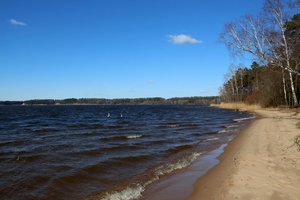 Sukanka 10 metų, kai Kauno mariose draudžiama verslinė žvejyba: fiksuojami kardinalūs pokyčiai