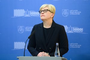 I. Šimonytė: automobilių taršos mokestis yra tinkama priemonė emisijoms mažinti