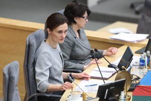 V. Čmilytė-Nielsen: Liberalų sąjūdžio frakcijoje dėl interpeliacijos K. Navickui gali būti „atskiroji nuomonė“