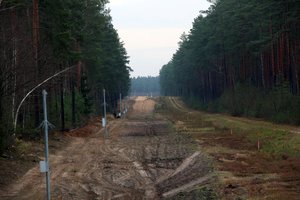 Po aštrių diskusijų Seimas žengė dar vieną žingsnį įtvirtinant neteisėtų migrantų apgręžimą