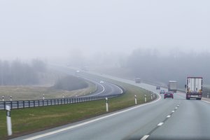 Į automobilio saloną įskridus bitei, kelionė vos nesibaigė tragiškai: pavojų vairuotojams atšilus orams kyla ir daugiau