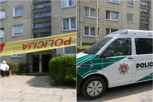 Po tragiškos merginos žmogžudystės Vilniuje – tyrimas dėl pareigūnų veiksmų: kilo rimtų klausimų