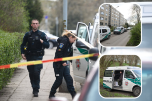 Kruvinoje tragedijoje – dar viena itin svarbi detalė: atskleidė, ką pastebėjo Vilniuje nužudytos merginos giminaičiai