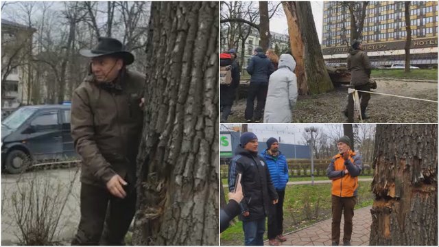 Rusai naikina ne tik ukrainiečių gyvenimus, bet ir gamtą: specialistai iš Lietuvos patarė, kaip gydyti medžius