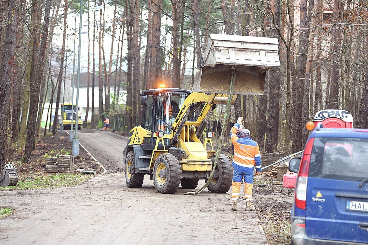 Miškas aplink renginio vietą Lazdynuose pradėtas tvarkyti pernai rudenį.