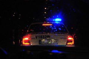 Poros išgertuvės baigėsi siaubinga tragedija: suskaičiavo net 29 smūgius moteriai 