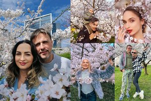 Sakurų grožiui abejingi neliko žinomi žmonės: dalijosi pritrenkiančiais kadrais