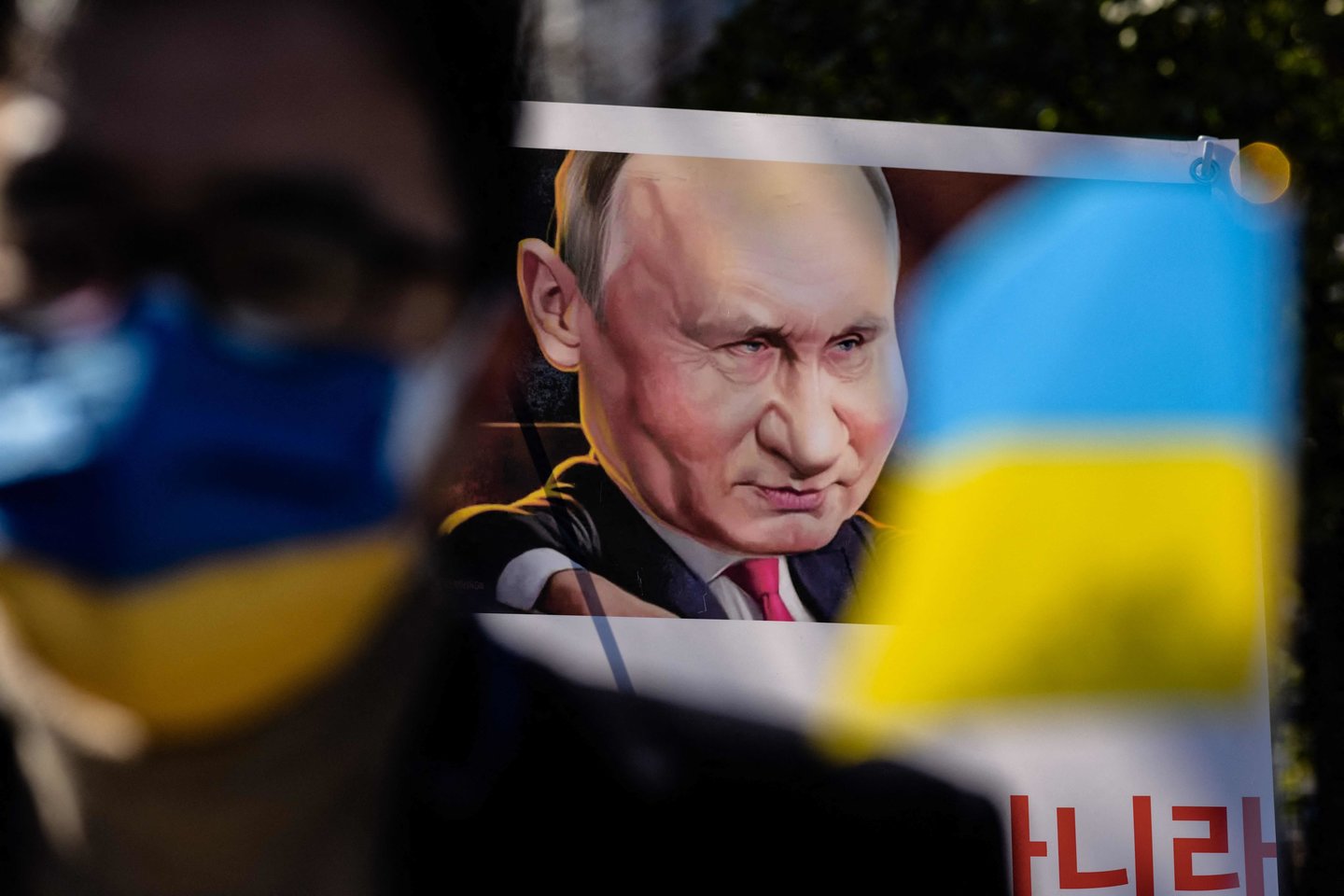 V. Putino karikatūra.<br>AFP/Scanpix nuotr.