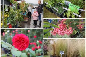 Sodinukų mugės organizatoriai skelbia: tai bus didžiausia augalų fiesta, kurioje kiekvienas ras ko ieškantis, net egzotikos