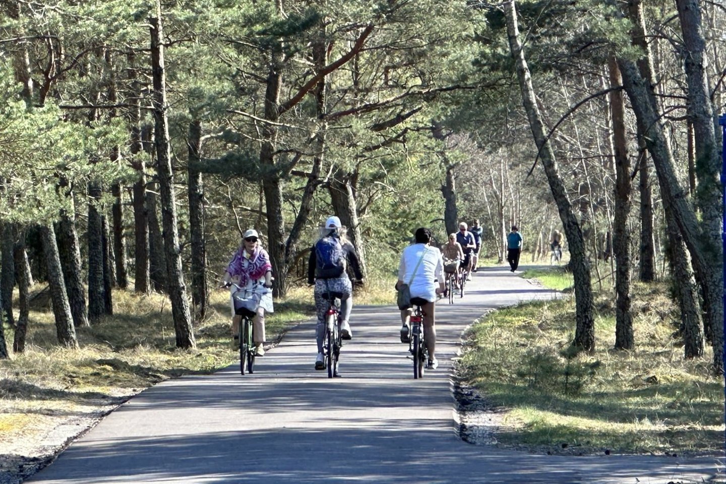 Klaipėdiečiai vasarišku oru primenantį sekmadienį leidžia aktyviai mindami dviračių pedalus.<br>„Vakarų eksperso“/P.Matulevičiaus nuotr.