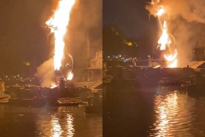 Incidentas Disneilende: šou metu užsiliepsnojo milžiniškas drakonas