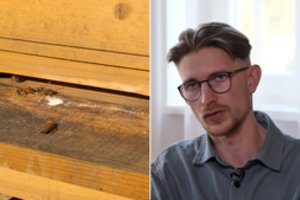 Emigranto gyvenimo vingiai: svaiginančią finansininko karjerą Londone iškeitė į bitininkystę Lietuvoje