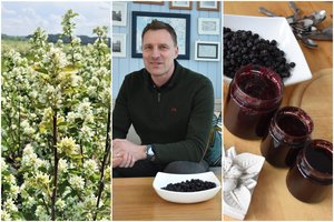 Tokios uogos Lietuvoje – labai retos: štai ko griebiasi „razinkų“ plantaciją turintis sodininkas jas populiarindamas