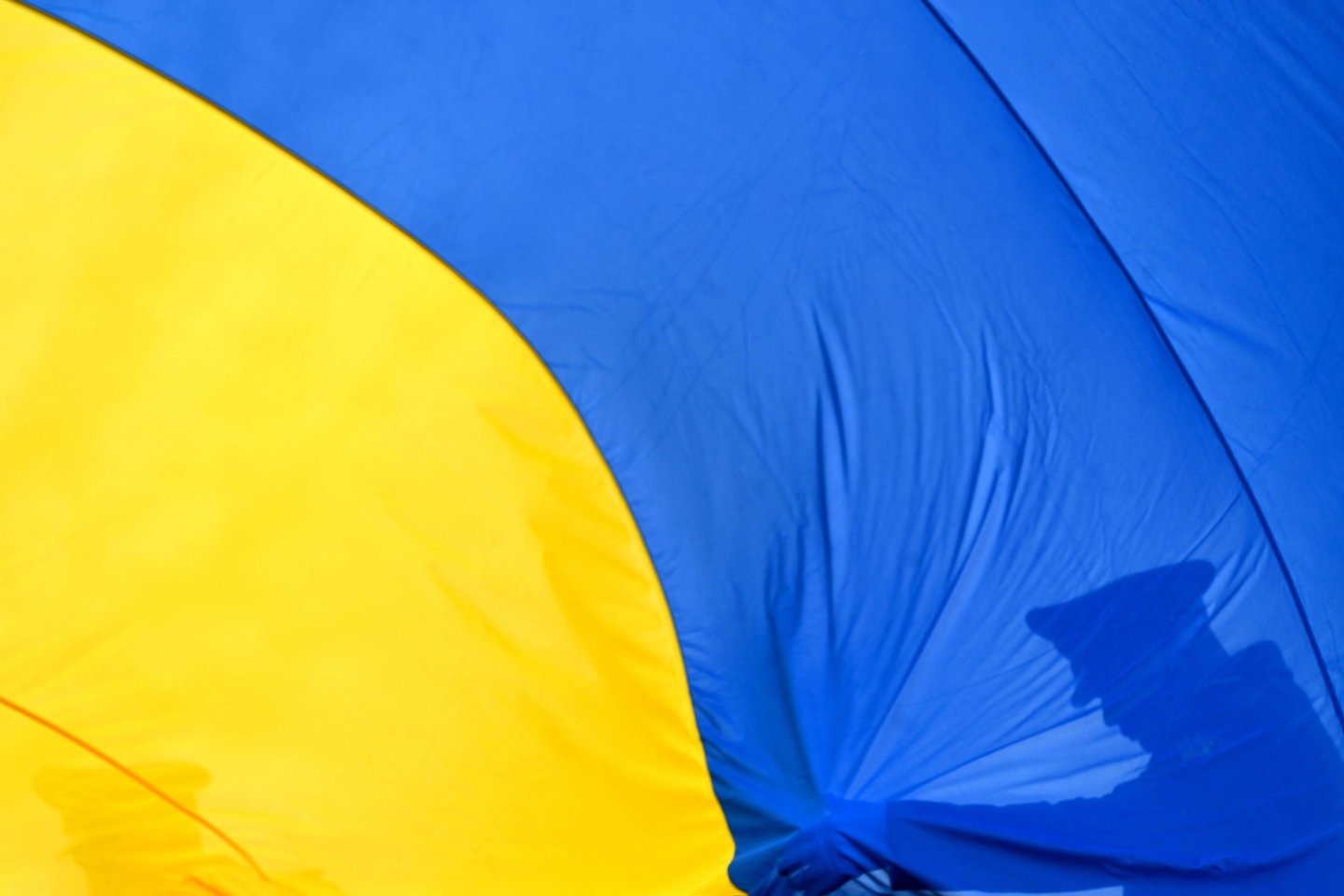 Ukrainos vėliava.<br>AFP/Scanpix nuotr.