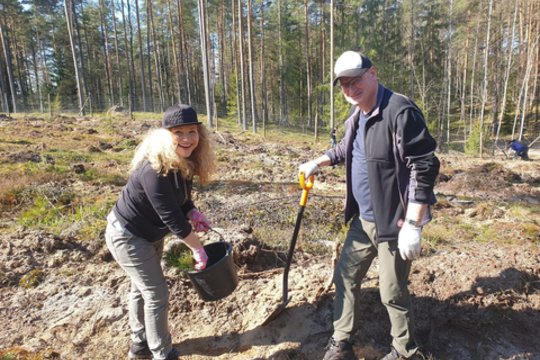 Together with the State Forest Enterprise (SFE), SBA Group employees planted 6.6 hectares of forest in three Lithuanian cities – Utena, Kaunas and Šilutė – with a total of almost 27 000 trees.