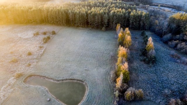 Orai pavasario neprimins: sulauksime šalnų, daug kur palis