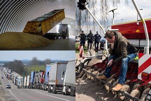 Ūkininkai piktinasi šalis užplūstančiais pigiais ukrainietiškais grūdais: įvertino, ar taip galėtų nutikti Lietuvoje