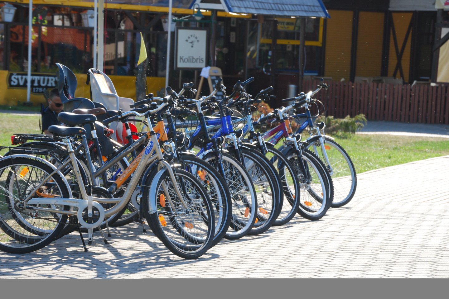 Vakarų Lietuvoje įrengta 18 km dviračių takų, antrąjį pusmetį planuojama nutiesti dar 38 km.<br>A.Barzdžiaus nuotr.
