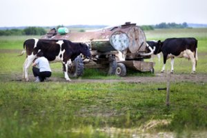 Patikino, kad  Lietuvos pieno ūkiams padėti pasiruošusi ir Europos Komisija