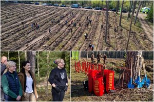 Rekordinė talka ir miškasodis – Lietuvoje pasodinta net 2,8 mln. medelių