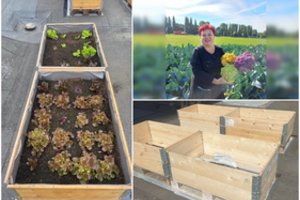 Išvardijo pakeliamų lysvių privalumus ir pasakė, kaip tokias įsirengti pigiausiai: pavyks kiekvienam