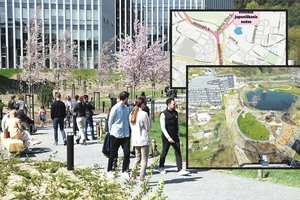 Tikroji Vilniaus japoniškojo sodo istorija: trypčiodami išvaikė visus dosnius rėmėjus