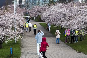 Dar kartą siūlys gegužės 1-ąją padaryti eilinę darbo dieną: sako, kad asocijuojasi su sovietmečiu