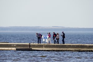 Per parą šalyje – 16 koronaviruso atvejų, du žmonės mirė