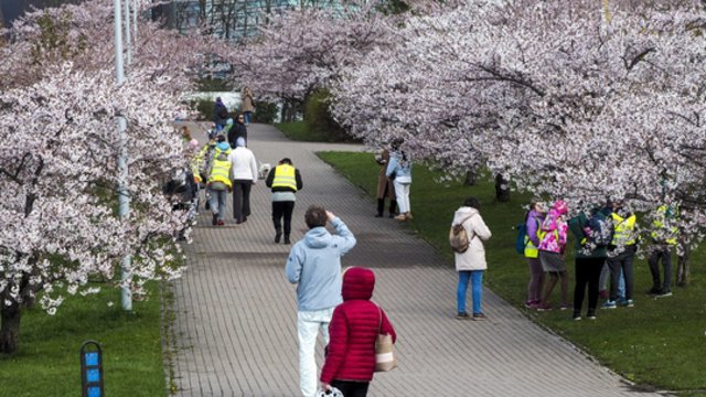 Gegužę sulauksime vis daugiau saulės spindulių: temperatūra kils aukščiau