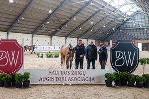 Pirmasis Panevėžio rajono žirgų veisėjo ir augintojo D. Čepelės kumelės Cabernet pasirodymas atnešė sėkmę